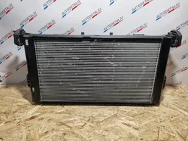 BMW i3 Set del radiatore 7643064