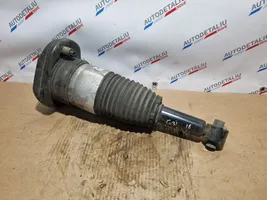 BMW 5 G30 G31 Air suspension rear shock absorber 8149030