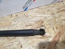 BMW 1 F20 F21 Gasdruckfeder Dämpfer Heckklappe Kofferraumdeckel 7239871