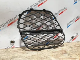 BMW X5 E70 Front bumper lower grill 7222858