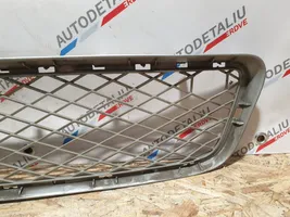 BMW X5 E70 Front bumper lower grill 7163956