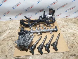 BMW X1 F48 F49 Fuel injection system set 8514146