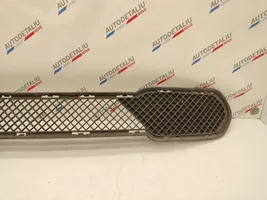 BMW X1 E84 Front bumper lower grill 2990368