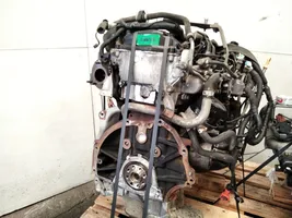 Nissan Pathfinder R51 Moteur 