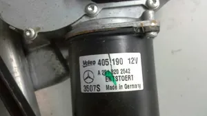 Mercedes-Benz R W251 Pyyhkimen moottori 2518202542
