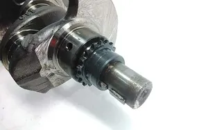 Citroen C5 Crankshaft 