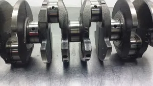 Citroen Saxo Crankshaft J21