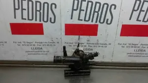 Renault Kangoo I Thermostat 