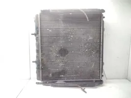 Hyundai Terracan Coolant radiator 25310H1920