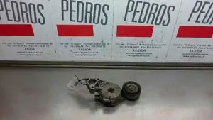 Seat Leon (1M) Tensor de correa del alternador 06A903315E