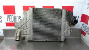 Renault Clio II Chłodnica powietrza doładowującego / Intercooler 8200252209