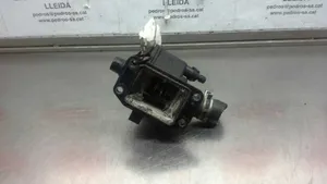 Citroen C3 Pluriel Thermostat 9654393880