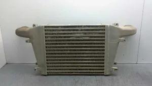 Nissan Atleon Radiatore intercooler 19879005