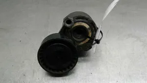 Renault Scenic RX Generator/alternator belt tensioner 