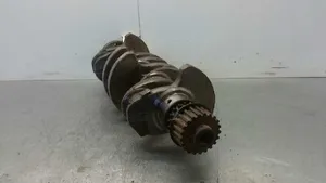 Citroen C5 Crankshaft 