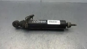 Mitsubishi Canter Front shock absorber with coil spring 