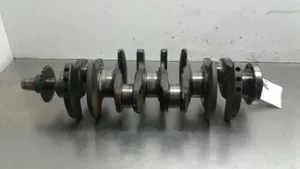 Citroen Jumper Crankshaft 620