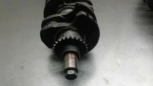 Citroen Jumper Crankshaft 620