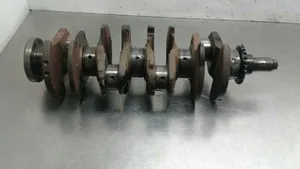 Citroen Jumper Crankshaft 620