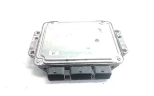 Suzuki Grand Vitara II Sterownik / Moduł ECU 8200518648