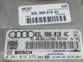 Audi A5 Sportback 8TA Calculateur moteur ECU 03L906018AC