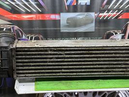 BMW Z4 E89 Chłodnica powietrza doładowującego / Intercooler 7378953