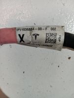 Tesla Model X Câble négatif masse batterie 103688400F