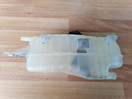 Renault Clio III Serbatoio di compensazione del liquido refrigerante/vaschetta 7701477290