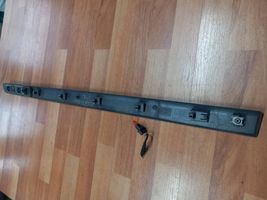 Renault Clio III Front door trim (molding) 8200289913