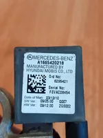 Mercedes-Benz C W204 Câble négatif masse batterie A1665420218