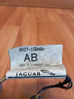 Jaguar XF X250 Pysäköintitutkan anturin johtosarja (PDC) 8X2T15B484