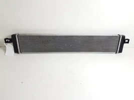 Toyota RAV 4 (XA50) Radiateur de refroidissement 