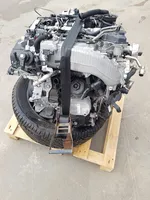 Audi A4 S4 B9 8W Moteur DTP