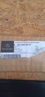 Mercedes-Benz C W204 Rivestimento portiera posteriore (modanatura) A2046900887