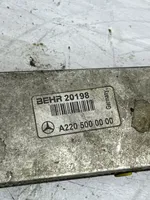 Mercedes-Benz S W220 Chłodnica powietrza doładowującego / Intercooler A2205000000