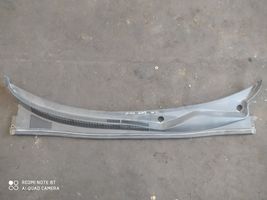 Hyundai Sonata Wiper trim 