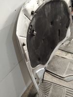 Volkswagen PASSAT B6 Pokrywa przednia / Maska silnika 