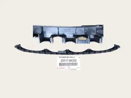 Toyota Hilux (AN10, AN20, AN30) Griglia superiore del radiatore paraurti anteriore 53117-0K020