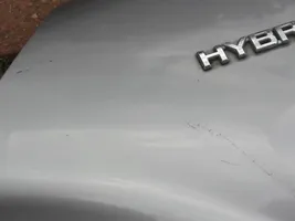 Toyota C-HR Sparnas 