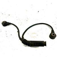 BMW 3 E46 Sensor de petardeo del motor 13627568422