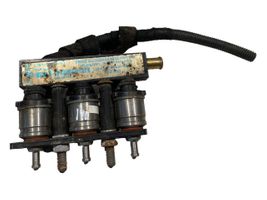 Citroen Xsara Picasso Injecteur GPL 67R010093