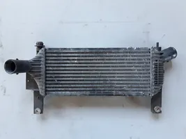 Nissan Navara Chłodnica powietrza doładowującego / Intercooler 14461EB360