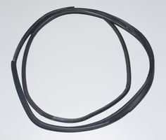 BMW i3 Front door rubber seal 