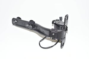 BMW i3 Cerniera portellone posteriore/bagagliaio 7296773