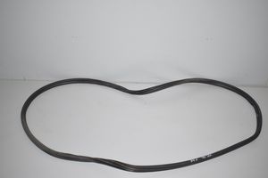 BMW 2 F46 Rear door rubber seal (on body) 7316818