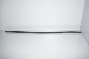 BMW 2 F45 Front door glass trim molding 