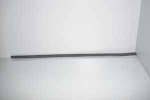 BMW 2 F45 Front door glass trim molding 