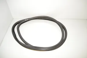 BMW X6 F16 Front door rubber seal 7317811