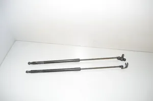 BMW i3 Tailgate/trunk strut/damper 7296775