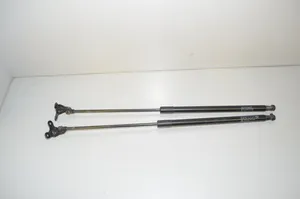 BMW i3 Tailgate/trunk strut/damper 7296775